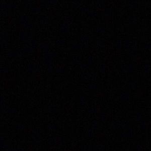 Meet your Posher, Bella